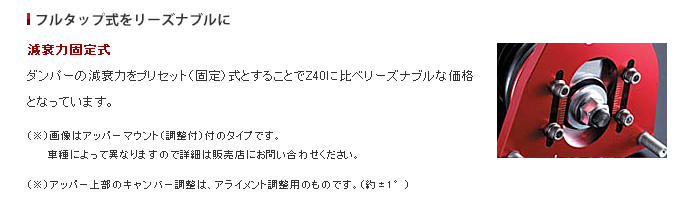 サステックプロZ1解説1
