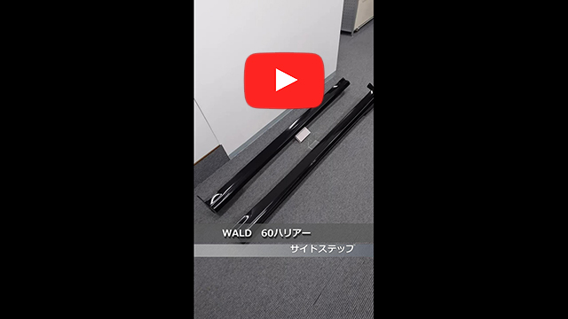 WALD(ヴァルド)　60 ハリアー　サイドステップ　220(スパークリングブラックパールクリスタルシャイン)