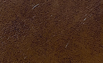 シャインブラウン