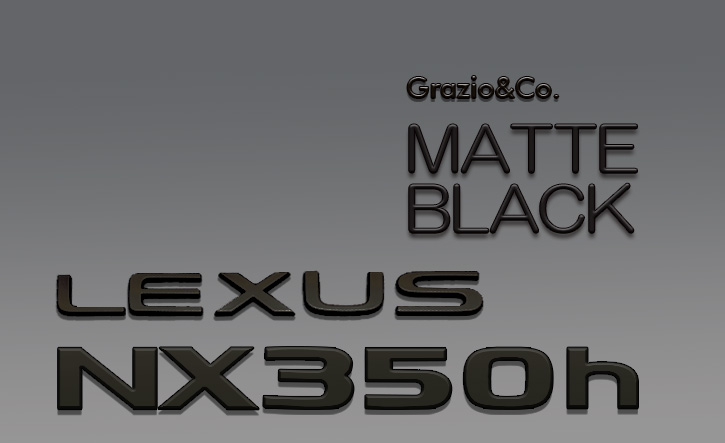 Grazio(グラージオ) レクサスNX エンブレムパーツ ブラック・ホワイトエンブレム 20系