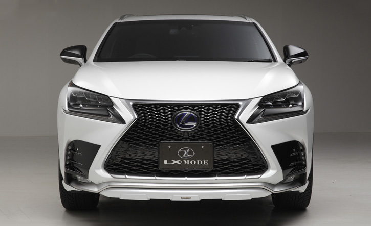 人気新品 ネットショップケンLEXUS 純正用品NX エヌエックス ドアガーニッシュ