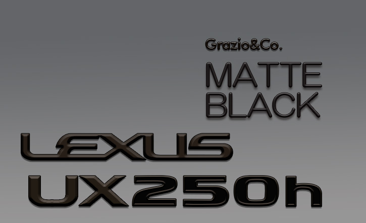 Grazio(グラージオ) レクサスUX エンブレムパーツ ブラック・ホワイトエンブレム 10系
