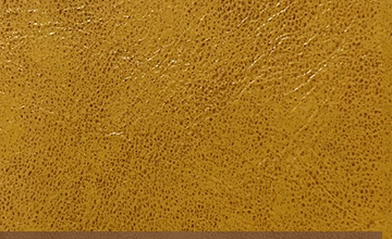 シャイン キャメル