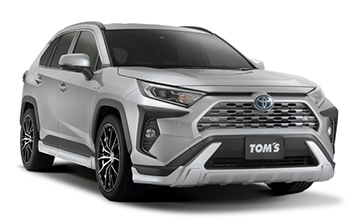 TOM'S(トムス) RAV4 フォグベゼルガーニッシュ