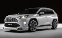 WALD(ヴァルド) 50系RAV4　エアロパーツ 3点セット