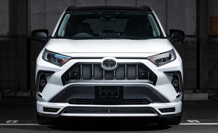 エクスクルーシブゼウス RAV4 エアロ3点セット(LUV LINE)/50系(標準